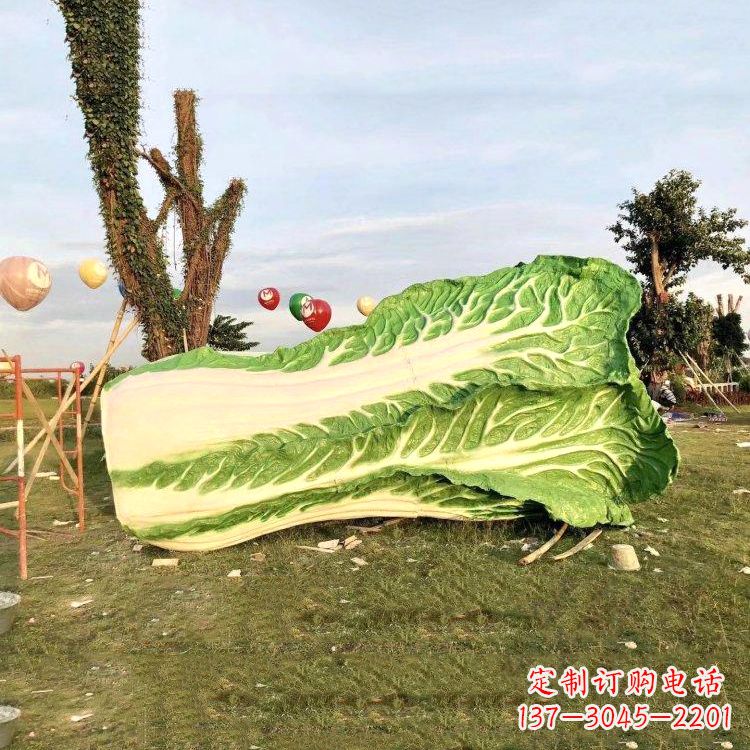 周口新鲜白菜“精致生活”系列