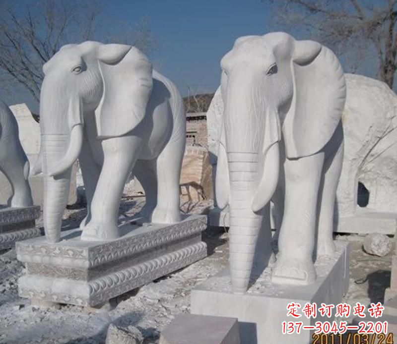 周口白色大象
