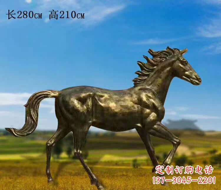 周口新马之精髓