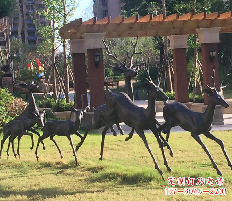 周口“梅花鹿传递自由与美好”