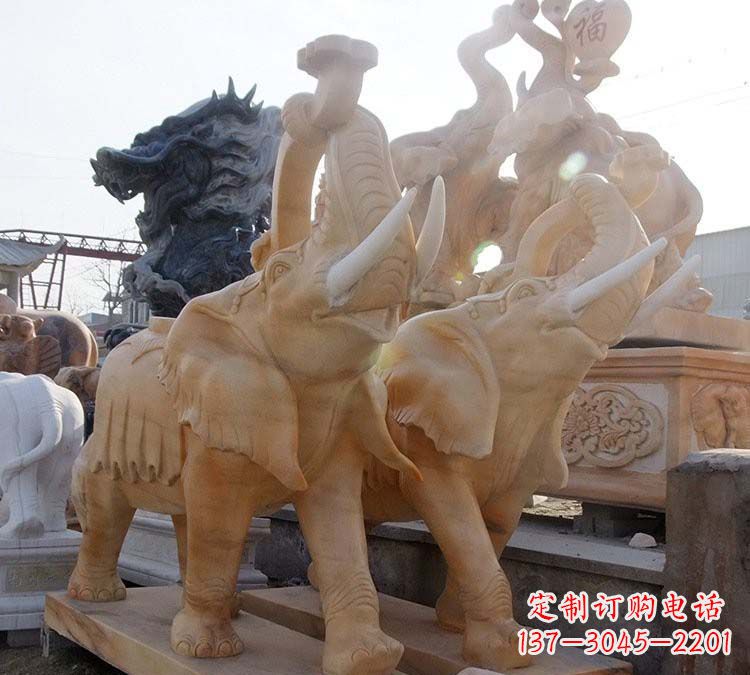 周口大象雕刻时光