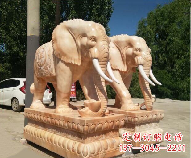 周口大象晚霞