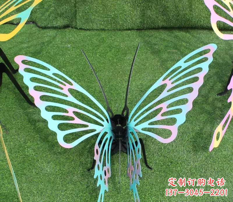周口彩色不锈钢镂空蝴蝶雕塑精美又充满生机