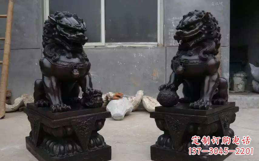 周口踩球镇的狮子之家