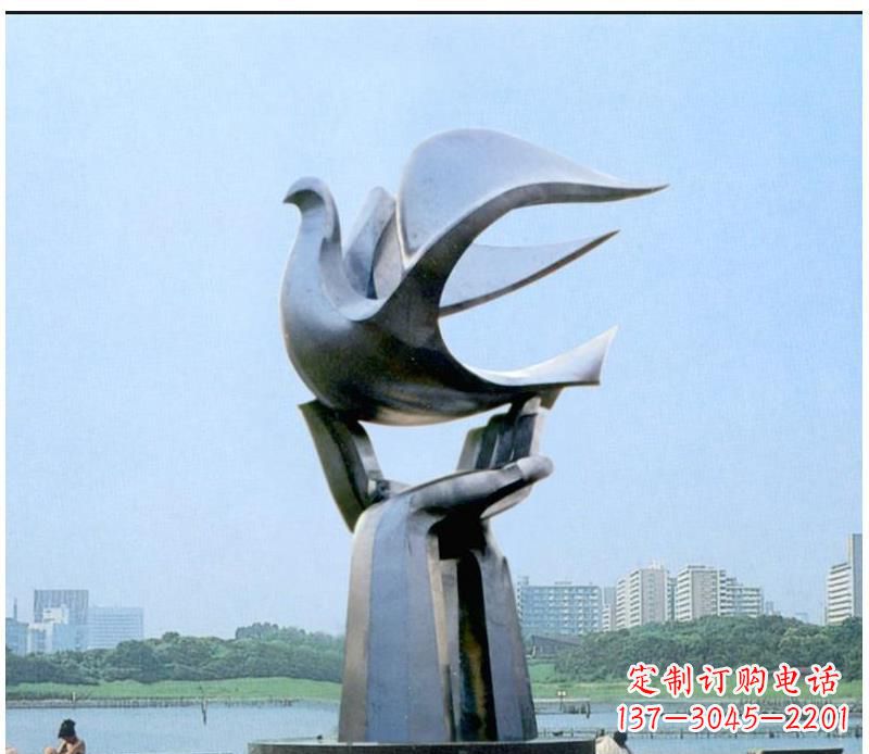 周口静谧之鸽,传递和平象征~