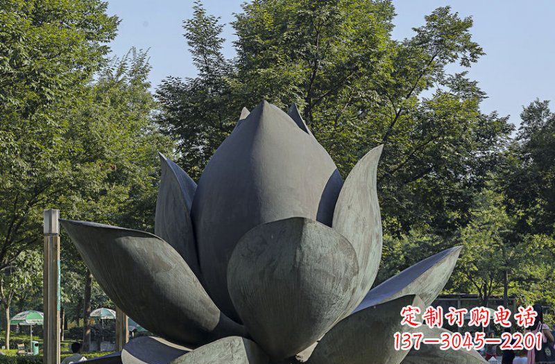 周口公园莲花景观铜雕