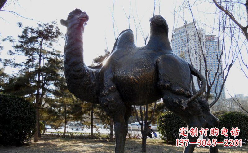 周口公园骆驼动物铜雕 (5)