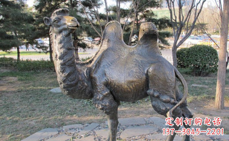 周口铜骆驼雕塑——浓缩自然美丽