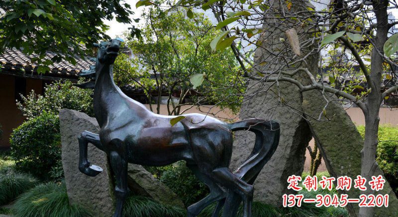 周口公园马动物铜雕 (6)