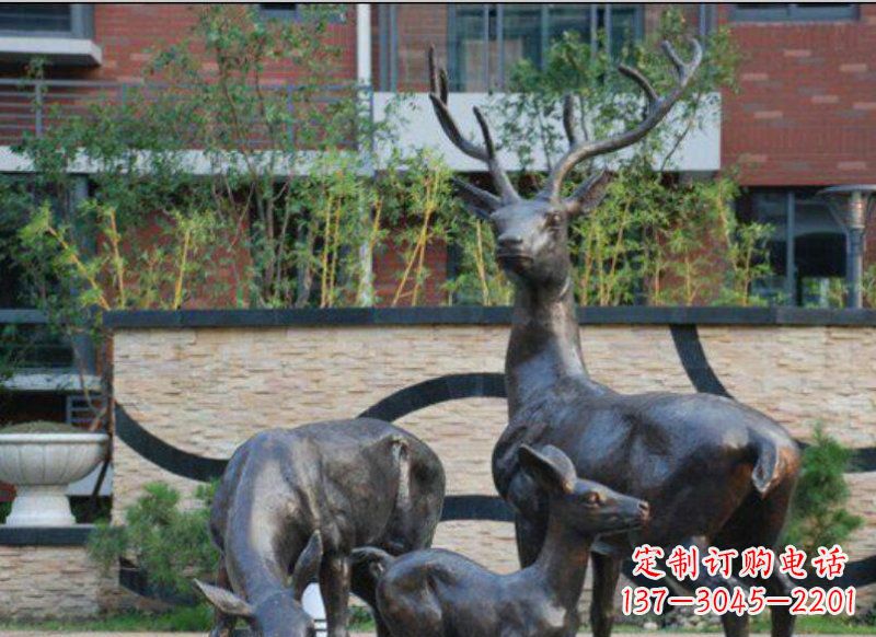 周口古雅优雅的梅花鹿铜雕