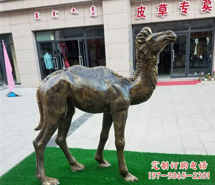 周口公园小骆驼动物铜雕 (2)