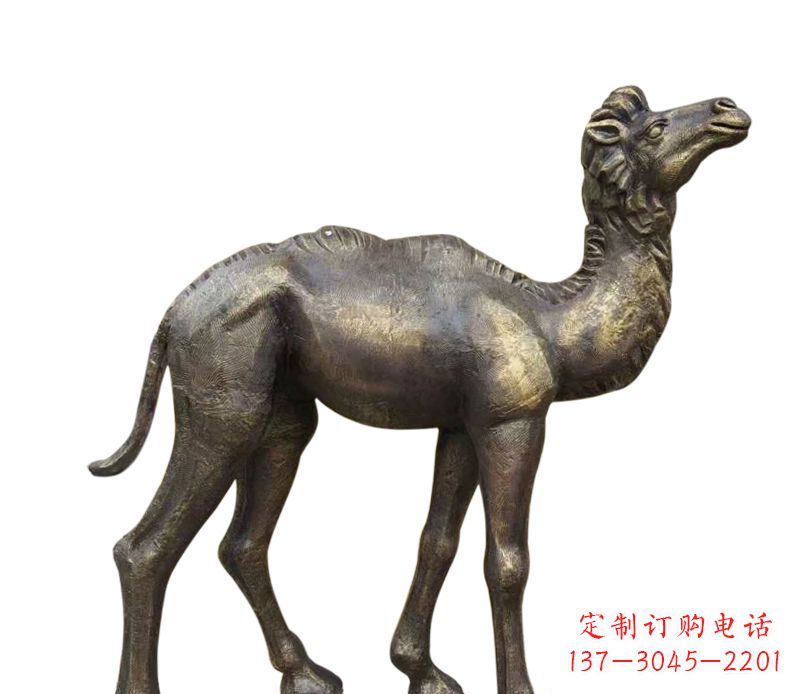 周口奇美洁净的骆驼铜雕