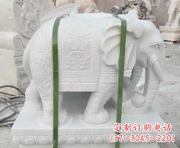 周口汉白玉招财大象石雕 (2)