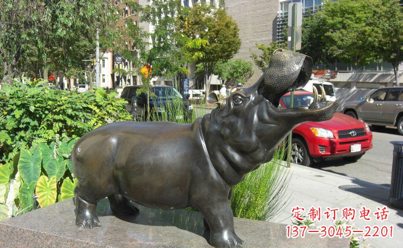 周口精美细腻的街边河马铜雕