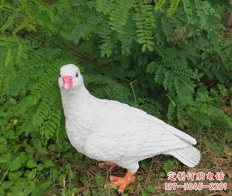周口灵鸽雕塑鸽子呢