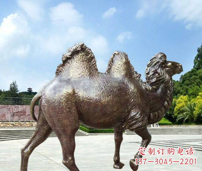 周口骆驼动物铜雕 (2)