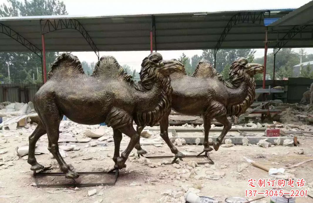 周口欣赏大自然的艺术之作——骆驼铜雕