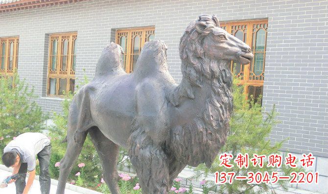 周口精美的骆驼铜雕,提升您的公园气质