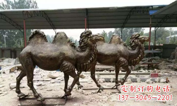 周口骆驼动物铜雕 (4)