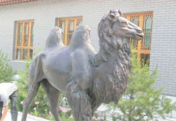 周口精美的骆驼铜雕，提升您的公园气质