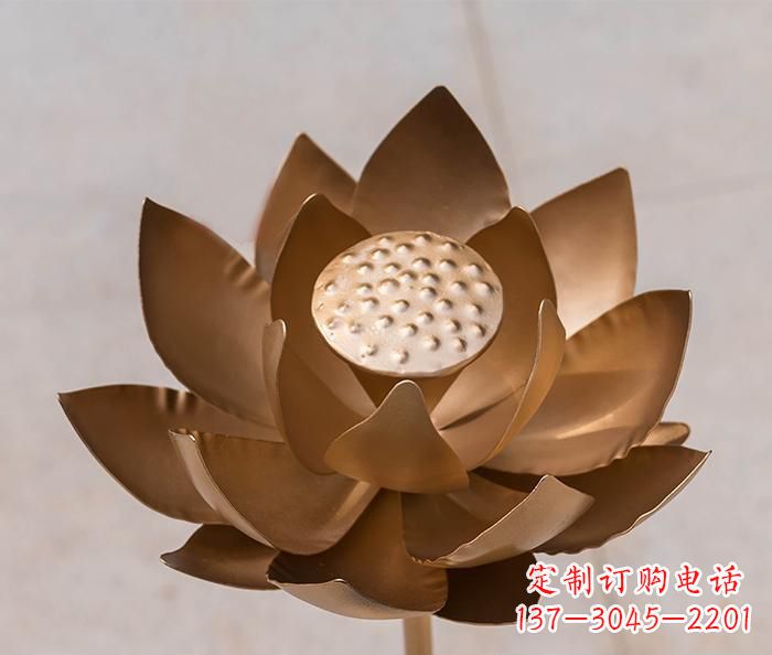 周口铜雕景观荷花