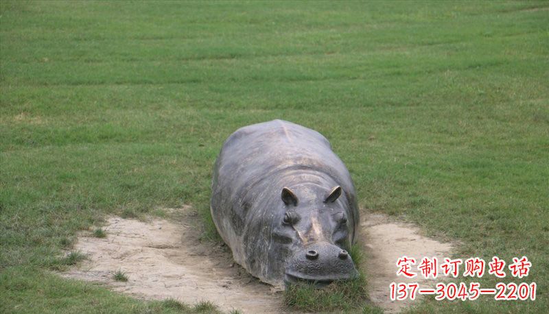 周口铜雕趴着的河马