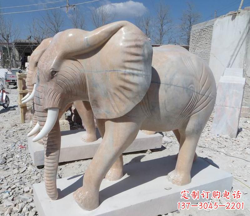 周口晚霞红卷鼻大象