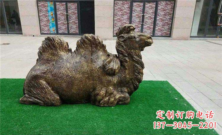 周口卧着的骆驼动物铜雕