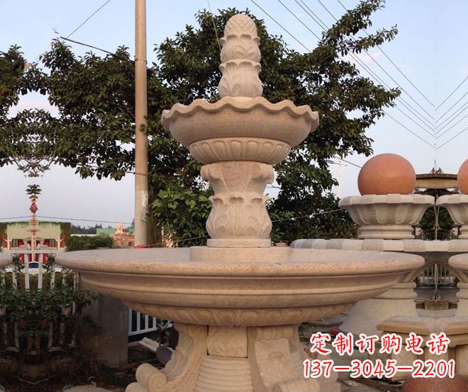 周口小区景观大型喷泉石雕 (4)