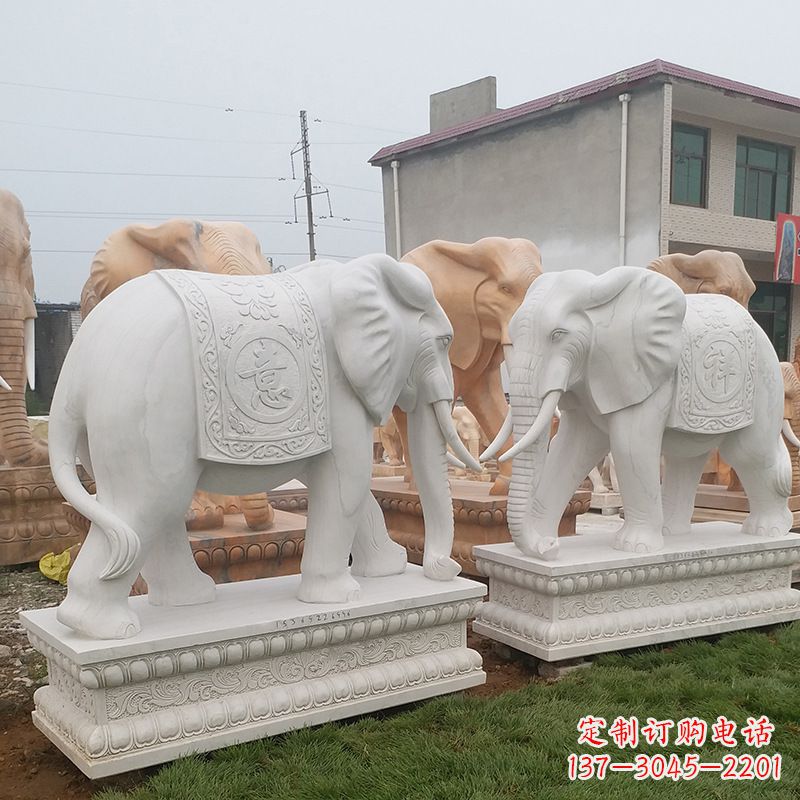 周口学校石雕大象