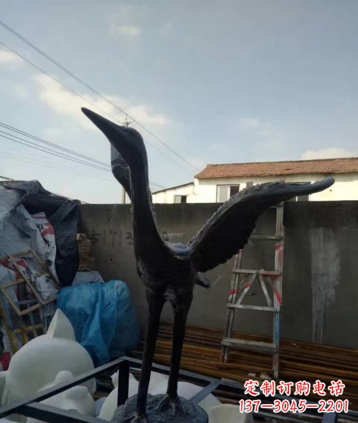 周口展翅仙鹤铜雕 (2)